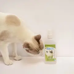 CROCI - Catnip en spray para gatos 100 natural 150ml