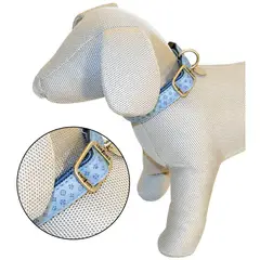 CROCI - Collar para Perros Vanity 48 - 70 CM x 25 mm - Celeste