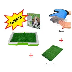 GENERICO - Baño Puppy Potty Padrep Grass Sitético guante masajeador