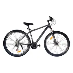 FRAUENFELDER - Bicicleta Montañera Aluminio Aro 29 Gris