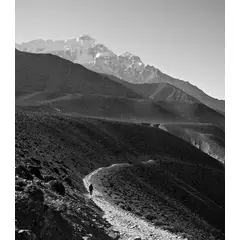 GENERICO - Producto Test 1