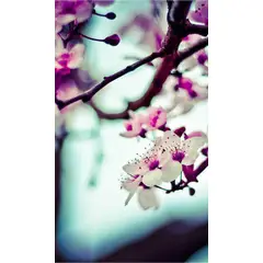 GENERICO - Producto Test