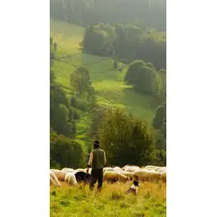 GENERICO - Producto Test