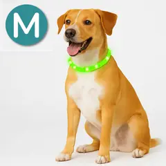 ALL FOR PAWS - Collar para perros led recargable M