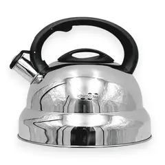 ICHIMATSU - Tetera de acero inoxidable 4.5 Lt