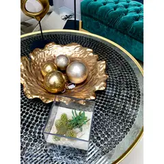 BIOPHILIA - Terrario tropical Luciana