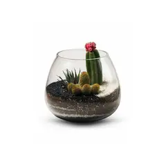 BIOPHILIA - Terrario tropical CAETANA