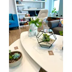 BIOPHILIA - Terrario tropical Abstract M