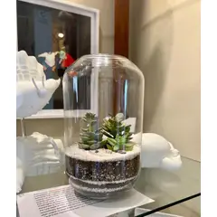 BIOPHILIA - Terrario tropical MICAELA