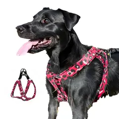 ALL FOR PAWS - Arnes para Perros Afp Leopard - M