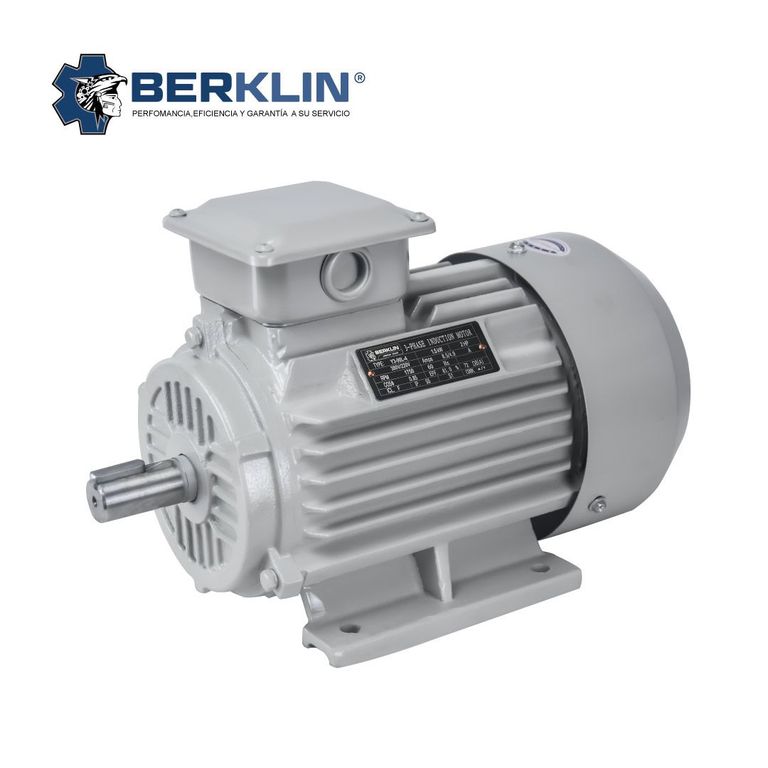 MOTOR ELÉCTRICO TRIFASICO DE 2 HP 1750RPM