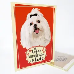 QALA DISEÑO - Cuadro Decorativo - - Perro Bichón Maltés - 30x225 cms