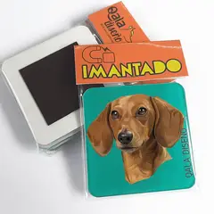 QALA DISEÑO - Imantado de Acrílico - - Perro Salchicha M - Magneto 6x6
