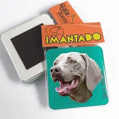 QALA DISEÑO - Imantado de Acrílico - - Perro Weimaraner - Magneto 6x6