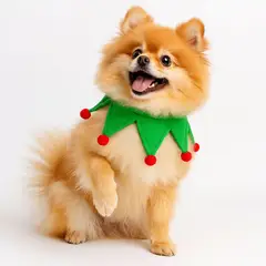 GENERICO - Ropa de Navidad para mascotas - Duendecillo feliz Verde - Talla XS