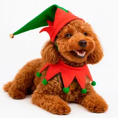 GENERICO - Ropa de Navidad para mascotas - Pequeño duende Navideño L
