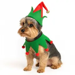 GENERICO - Ropa de Navidad para mascotas - Pack lindo Elfo -Talla M