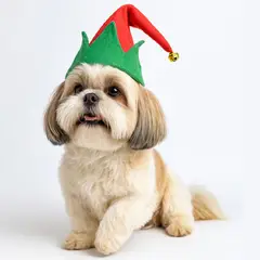 GENERICO - Ropa de Navidad para mascotas - Gorrita Arlequín rojo M