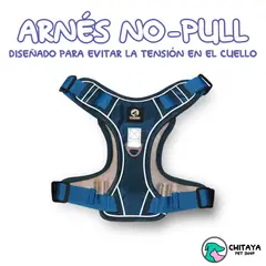 CHITAYA PET SHOP - Arnés no-pull y correa - Azul - Medium