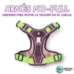 CHITAYA PET SHOP - Arnés no-pull y correa - Morado - Small