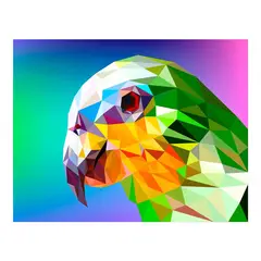 MAKA - DIAMOND PAINTING CRISTAL HAWK 40x50 CM