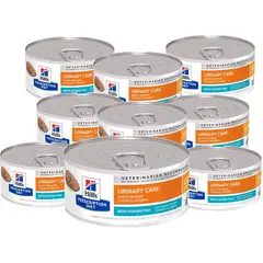 HILLS - C/d cd multicare feline gato ocean fish - x 12 latas