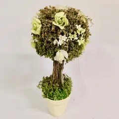 FLORIPA - Arreglo Floral Tipo Topiario Verde 12Avp-Vd