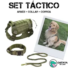 CHITAYA PET SHOP - Set Táctico - Verde - Extra Large