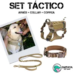 CHITAYA PET SHOP - Set Táctico - Camuflado - Extra Large