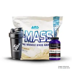 ANS PERFORMANCE - Pack Ans N Mass 6Lb Vainilla Creatina 300Gr Shaker