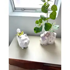 BIOPHILIA - Maceta Pet Friendly POMERANIAN