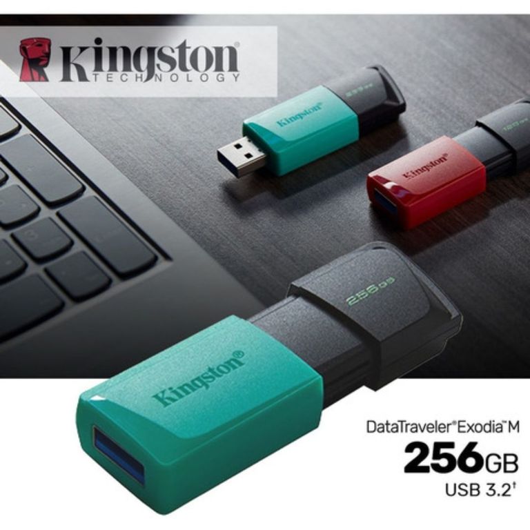 MEMORIA USB DATA TRAVELER EXODIA M 256 GB