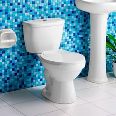 ITALGRIF - Inodoro blanco - Descarga de 4.8 Lts