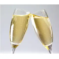 NADIR - 2 COPAS DE CHAMPAGNE PARA TODA OCASIÓN