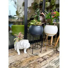BIOPHILIA - Maceta Pet Friendly CHANCHI