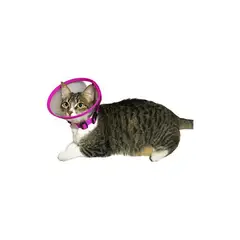 GENERICO - Collar isabelino talla xs