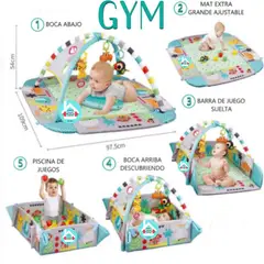 IDEAL - Gimnasio Musical 5 en 1 multifunción G Y M