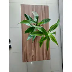 GENERICO - Mesa de centro industrial rectangular color especial 100x50x40