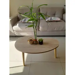 GENERICO - Mesa de centro estilo riñon