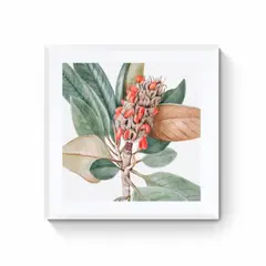 DECO DESIGN - Cuadro Antique Floral 50X50Cm
