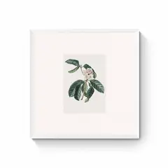 DECO DESIGN - Cuadro Floral 50X50Cm