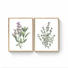 DECO DESIGN - Set Purple Botanic X 2 PCS- 40x60cm