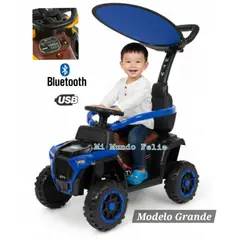 BABY HAPPY - Carrito correpasillos buggy para niños sombrilla Musical Blue