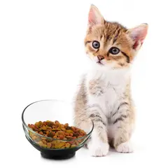 LIBBEY - Plato de Vidrio para Mascotas color Negro Astro