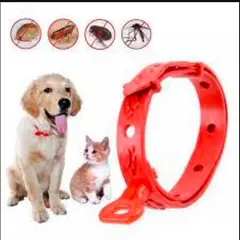 GENERICO - Collar anti pulgas para mascotas para perros y gatos