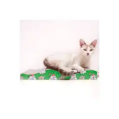 GENERICO - JUGUETE RASCADOR PARA GATOS DE CARTON CORRUGADO RESISTENTE