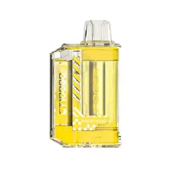 GENERICO - FOGER CT10000 10,000 puffs DESECHABLE 2% - MANGO ICE