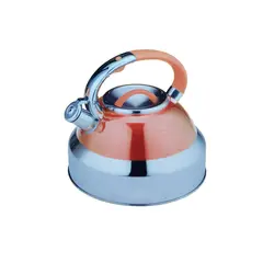 LUISSANT - Tetera de Acero inoxidable 5 Litros LU-324T-SN