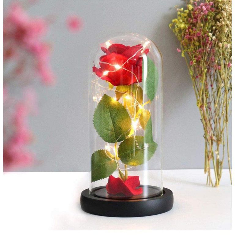 Cupula con rosa eterna con luz led regalo san valentin