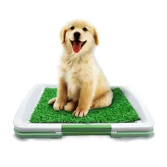 OTTOWARE - Baño Ecológico Portátil Con Césped Para Perros V2 Mediano